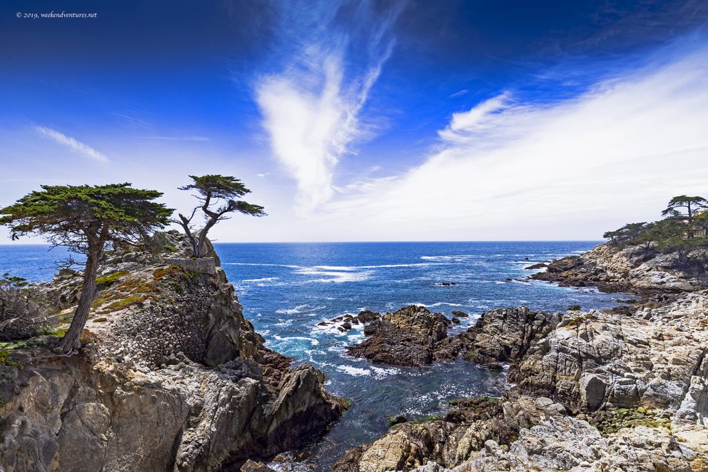 Lone Cypress - California